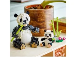 31165 Wilde dieren: pandafamilie<LEGO® Creator Sale