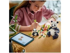 31165 Wilde dieren: pandafamilie<LEGO® Creator Sale