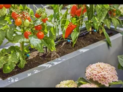 Druppelirrigatie voor de tuin Micro-Drip-System<Gardena