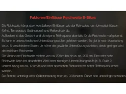 E-bike City multitalent RC840 28