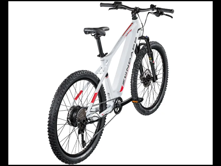 Elektrische mountainbike Z898<Zündapp Best