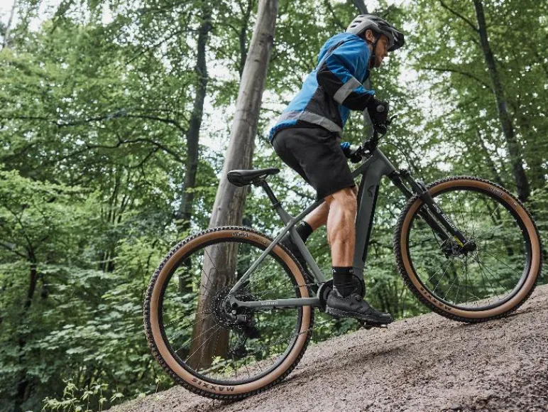 Elektrische mountainbike PEAK 709<CRIVIT Hot