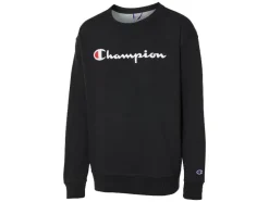 Heren trui<Champion