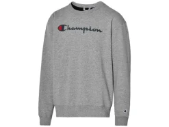 Heren trui<Champion