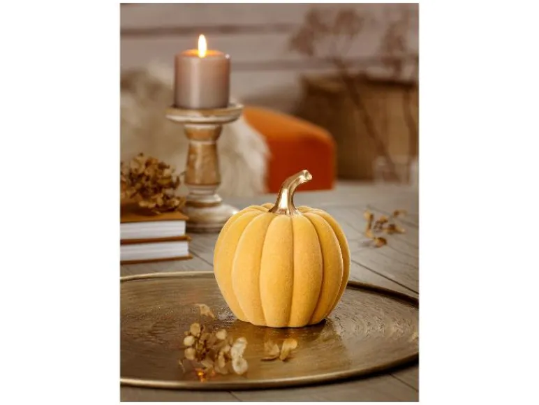 Herfst decoratie<LIVARNO home Sale