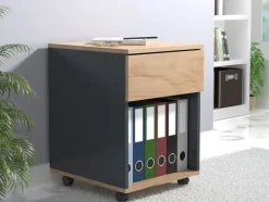 Kastje op wielen<VCM Clearance