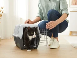 Kattenbak of transportbox<zoofari® Best