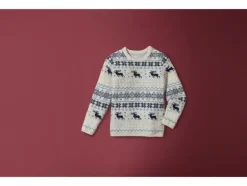 Kinder kersttrui<lupilu® Online