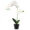 Kunstplant<LIVARNO home Sale