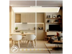 LED-plafondlamp<Briloner Clearance