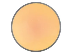 LED-plafondlamp met kleurregeling<LIVARNO® Discount