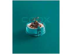 Mini springvorm met glazen bodem Ø 12<Coox Online