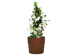 Plantenbak GROOVE PLUS<Scheurich