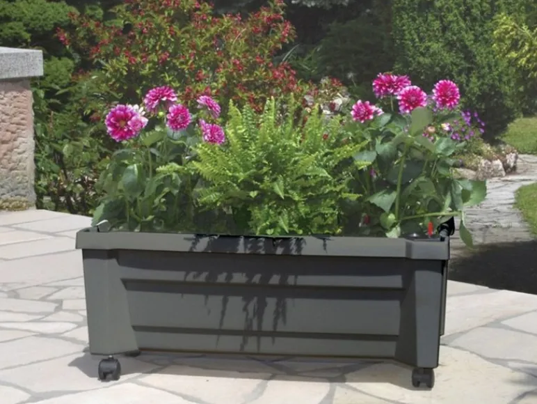 Plantenbak met wielen<KHW Sale