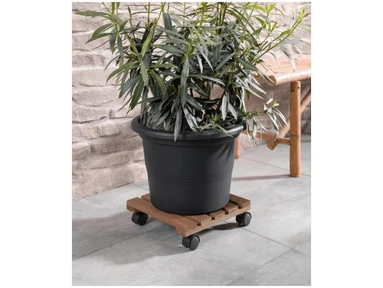 Plantentrolley<PARKSIDE® Online
