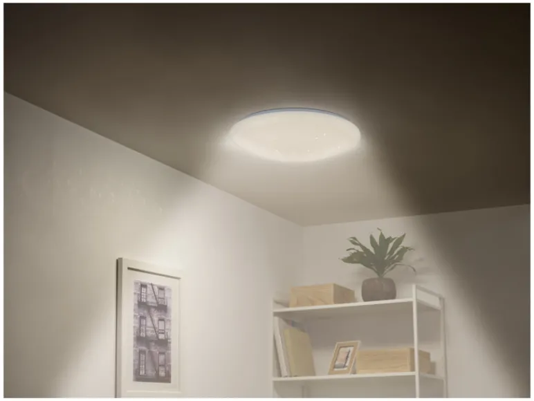 RGB plafondlamp met afstandsbediening<LIVARNO home Hot