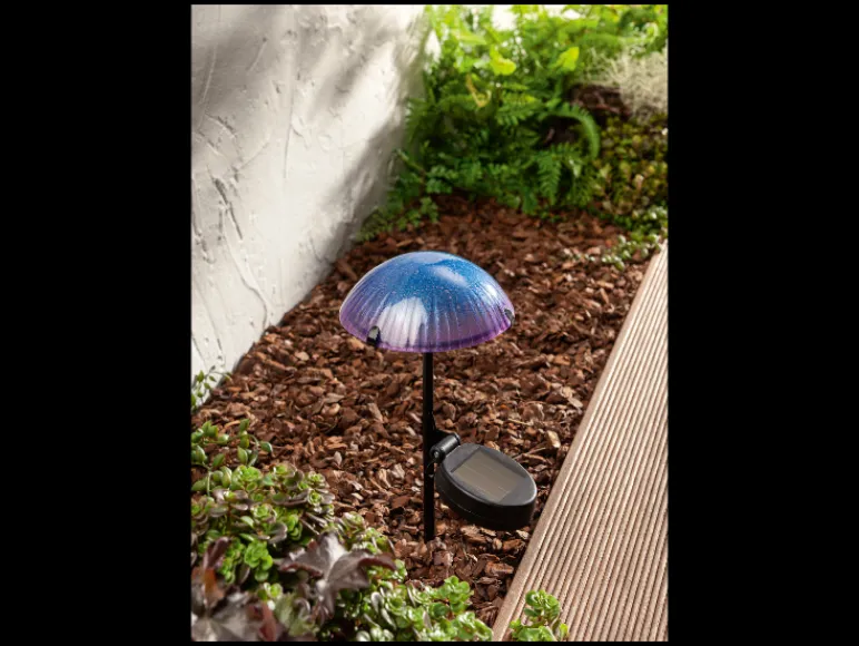 Solar LED-paddenstoel<LIVARNO home Outlet