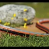 Tuinslang Flex Comfort 50 m<Gardena Online