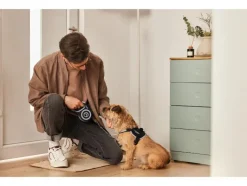 Uittrekbare hondenriem 5 m<zoofari® Hot