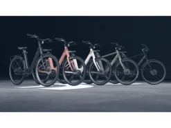 Urban E-bike All Black 2.0 X riemaandrijving<CRIVIT