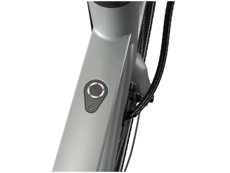Urban elektrische fiets 3.0 X riemaandrijving<CRIVIT Sale