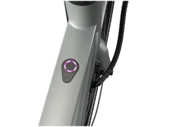 Urban elektrische fiets 3.0 X riemaandrijving<CRIVIT Sale